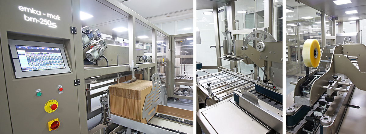 Case Packing Machine